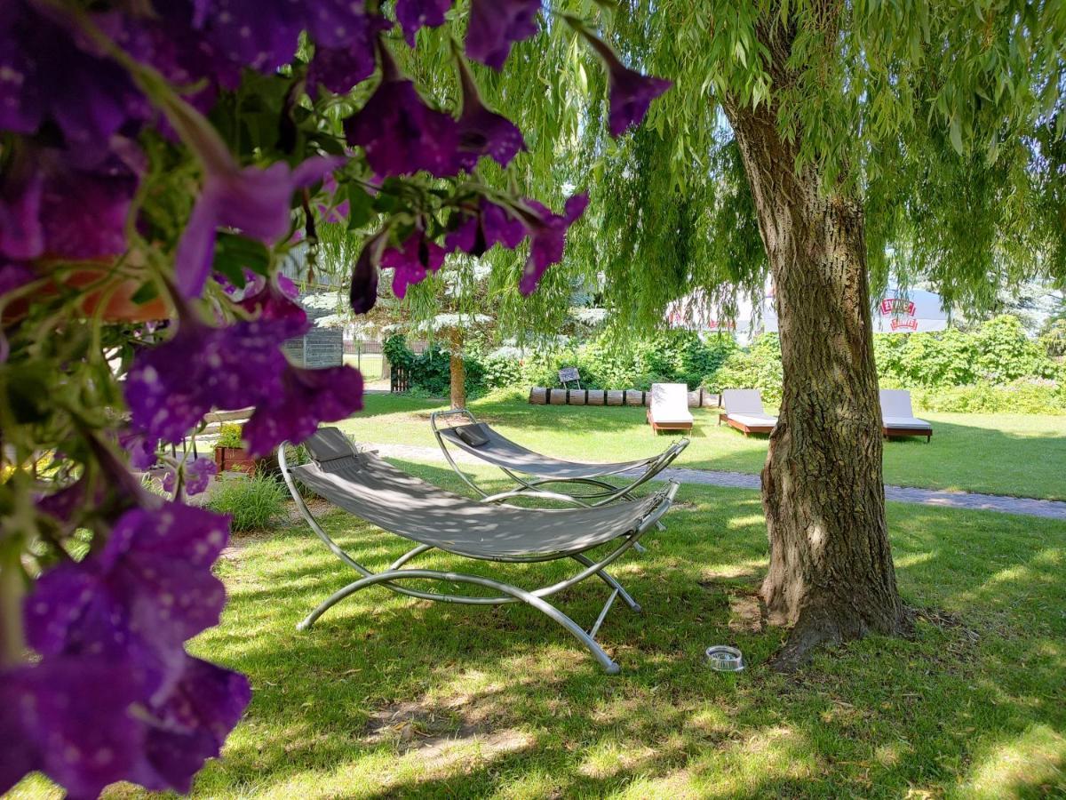Gospoda Pazibroda Maków Mazowiecki Dış mekan fotoğraf